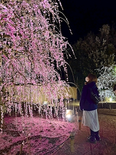 プロフィール写真1・まゆ|Belle fleur・ベルフール - 三重 四日市のクラブ/ラウンジ