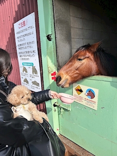 あいか「連休ありがとございました👍💞」