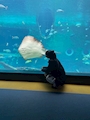 新着ブログ うさだよん