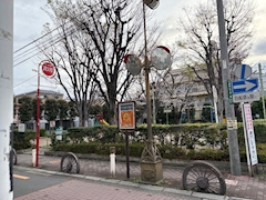 えり「お散歩🌸」