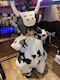プロフィール写真6・ましーた。｜タイムリープ - 秋葉原のコンカフェ