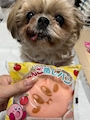 chiko