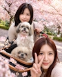 chiko