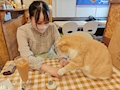 つかさ丸