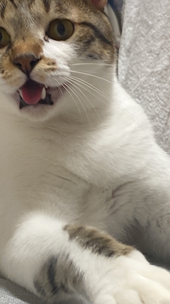 あいり
