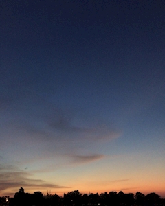 葵 さな