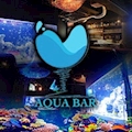 ピックアップキャスト きこ🧊 AQUA BAR・アクアバー - 歌舞伎町のガールズバー
