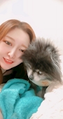chiko