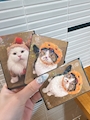 chiko