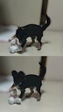 chiko