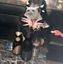 ゆのん