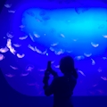 れな