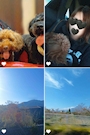 新着ブログ 💜今週も宜しくお願い致します//女子旅in箱根・リフレッシュ出来ました🐶🐾💜
