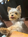 モンちゃん