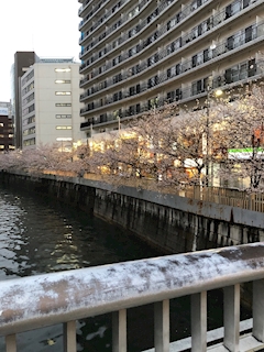 ひとみ