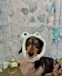 chiko