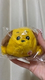 chiko