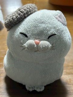 みき「おはようございます🫡」