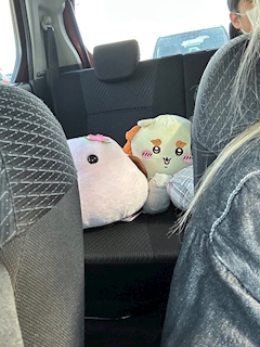 みき「おはようございます」