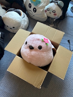 みき「おはよん」