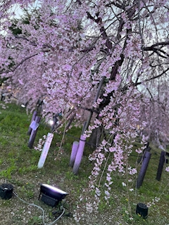 みき「🫡」
