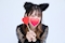 プロフィール写真7・あいか|Secret Garden OZONE・シークレットガーデンオゾン - すすきのガールズバー