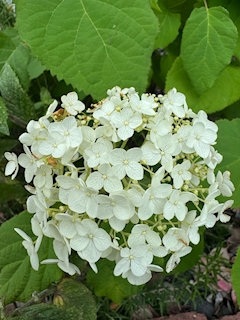 ❤️季歩