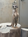chiko