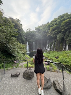 向日葵 さみ