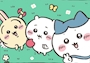 chiko