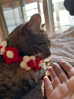 プロフィール写真7・きよか｜熟女キャバクラ ZERO collection ・ゼロ コレクション - 中洲の熟女キャバクラ