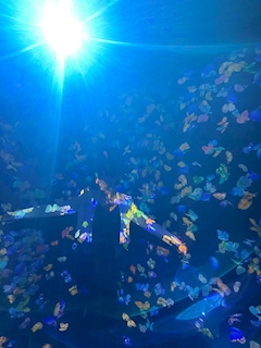 プロフィール写真3・なつ｜girls bar Pino・ピノ - 四ツ谷のガールズバー