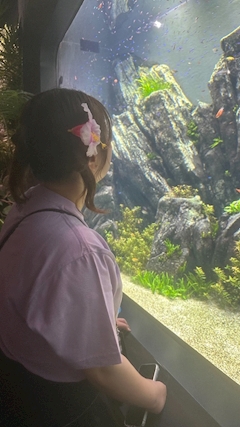 ほのか