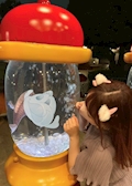 しおり
