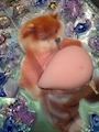 chiko