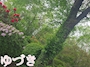 新着ブログ ただ、君を愛してる✨