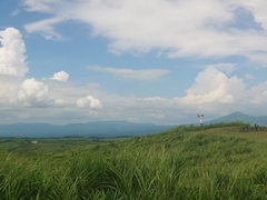 プロフィール写真7・店長｜アロハ - 中洲の熟女キャバクラ