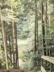 新着ブログ 🎶🎵🎶🎵