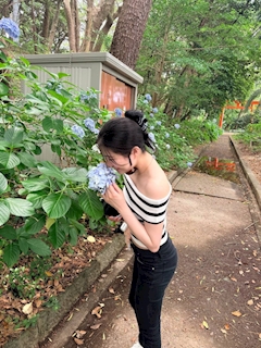 花園 らな 🌹「紫陽花 💙🩷💜」
