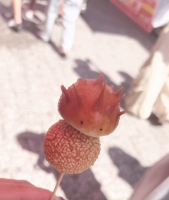 みき