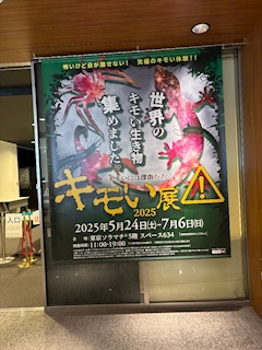 くるみ「虫！」