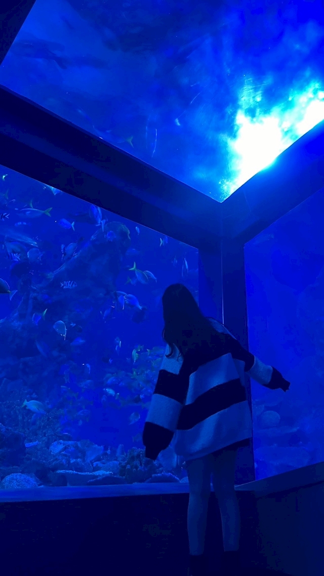 プロフィール写真2・芹沢　えみ｜