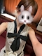 プロフィール写真5・リコ🐰💖｜宮城県仙台市青葉区　邦栄ビル3F