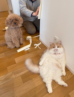 お店の中の人4号