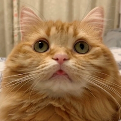 プロフィール写真3・お店の中の人4号｜Reborn・リボーン - 旗の台駅のガールズバー