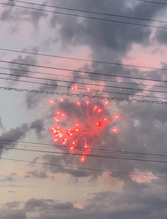 さら