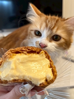 かのん「12/13」