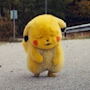chiko