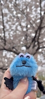 chiko