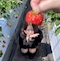 プロフィール写真3・葉月|CLUB 四季 -shiki-・シキ - 長崎市・思案橋のキャバクラ